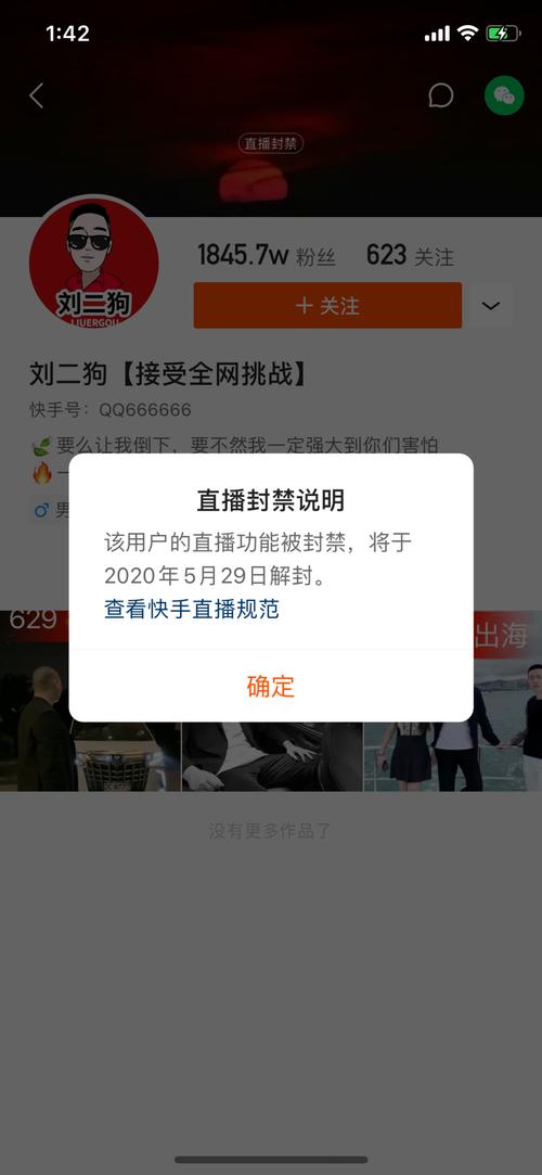 快手直播挂人气自助平台，真的能有效提升直播人气吗？-图3