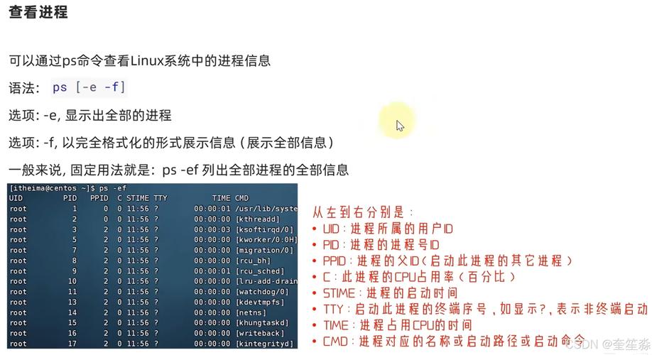 如何在CentOS系统上通过YUM安装PHP 5.6？-图1