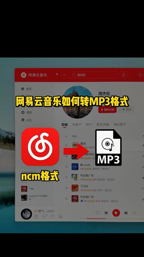 如何将网易云音乐轻松转换为MP3格式？-图3