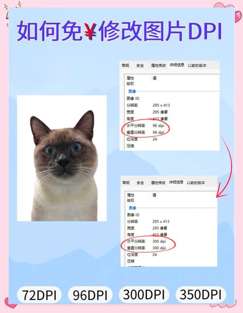 如何查看图片的DPI？-图3