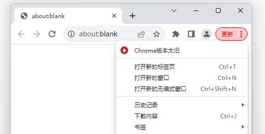 如何查看Chrome浏览器的版本信息？-图2