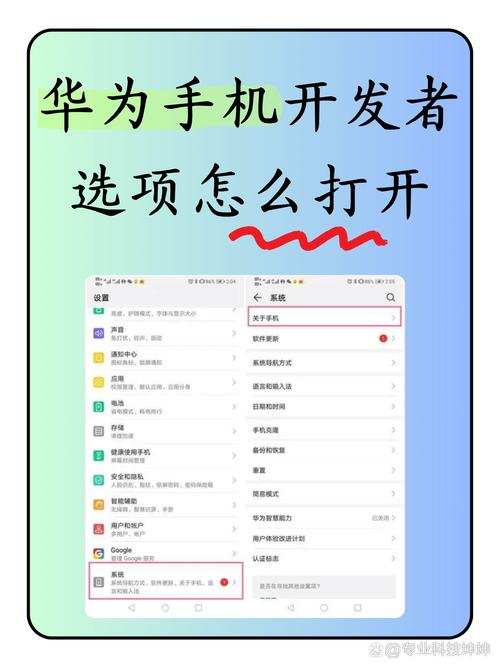 华为手机如何开启开发者选项？-图2