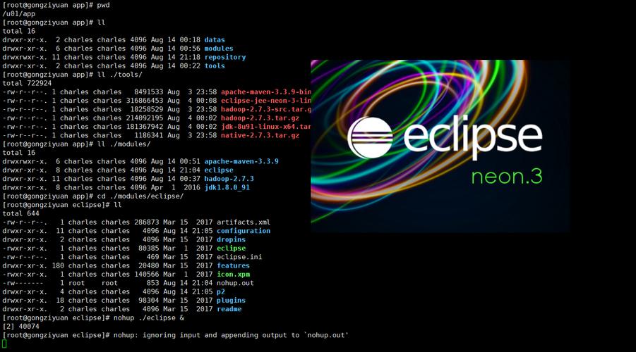 如何在CentOS上安装Eclipse IDE？-图2