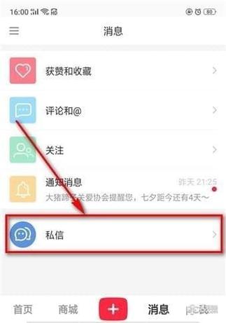 小红书如何进行私信操作？-图3