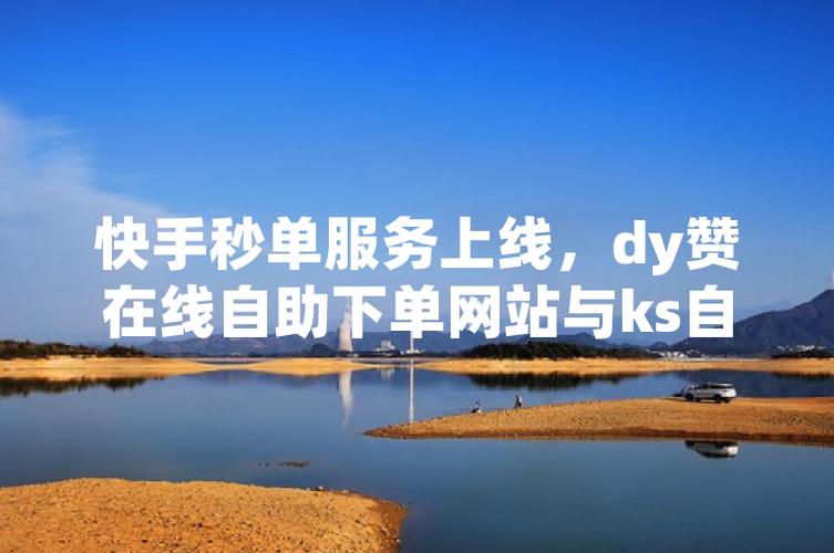 dy低价下单平台商城与ks推广自助网站，你了解多少？-图3