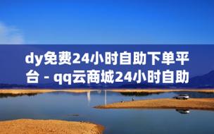 dy自助下单全网最低价可信度分析-图2