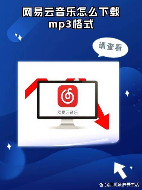 网易云音乐如何下载MP3格式的音乐？-图1