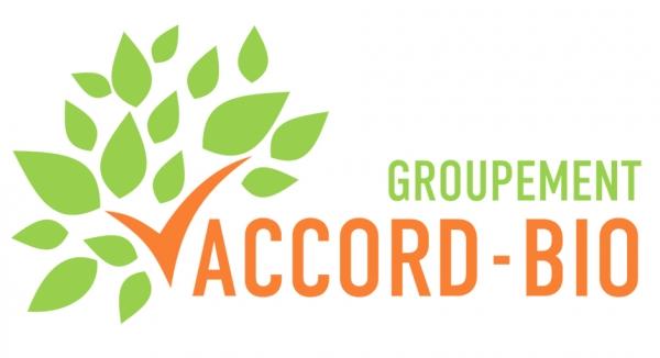 解析与速解,HTTP BIOS错误成因及快速修复指南-图3 解析与速解,HTTP BIOS错误成因及快速修复指南-图3