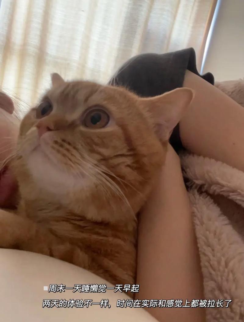 五大秘诀助你轻松延长物品使用寿命-图2