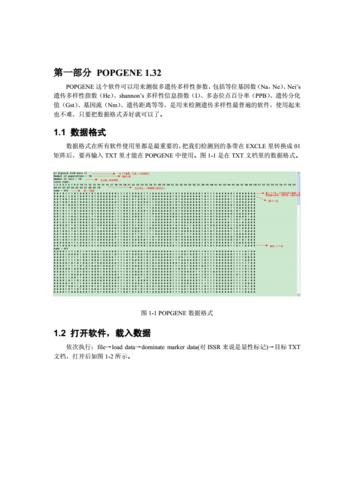 NTSYS系统报错，该如何解决？-图1