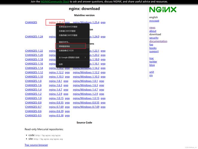 如何在CentOS系统中通过源代码编译安装Nginx？，CentOS下编译安装Nginx的详细步骤是什么？，在CentOS中编译安装Nginx需要注意哪些事项？，怎样在CentOS系统上从源码编译并安装Nginx？，CentOS环境下编译安装Nginx有哪些关键配置选项？-图3