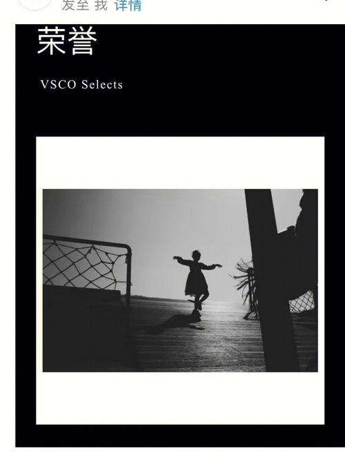 VSCO 应用报错问题解析与解决方案-图1