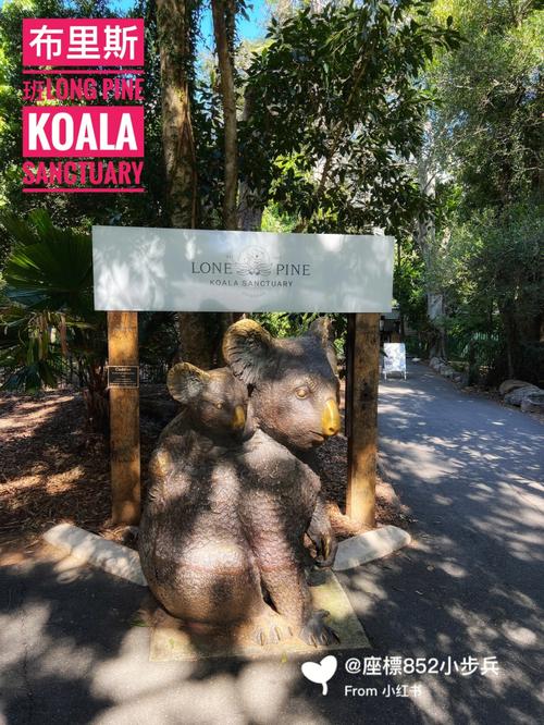 Koala报错，如何解决这个问题？-图2