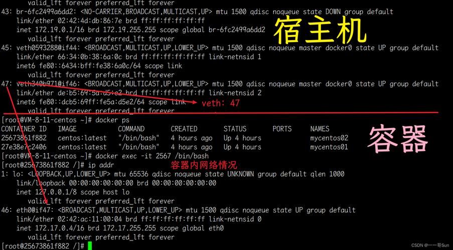 如何在CentOS上配置网桥？-图2