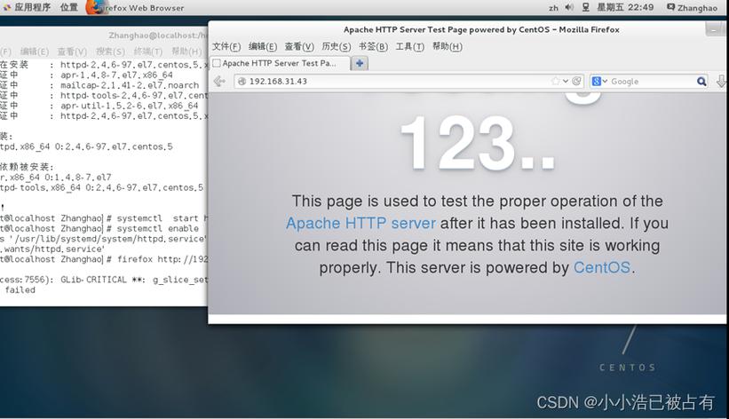 如何在CentOS系统上安装并配置DHCP服务？-图1