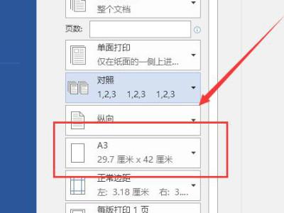 如何在A4纸上打印A3内容？-图2