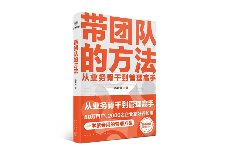 如何高效领导团队并运用关键艺术与策略?-图2 如何高效领导团队并运用关键艺术与策略?-图2