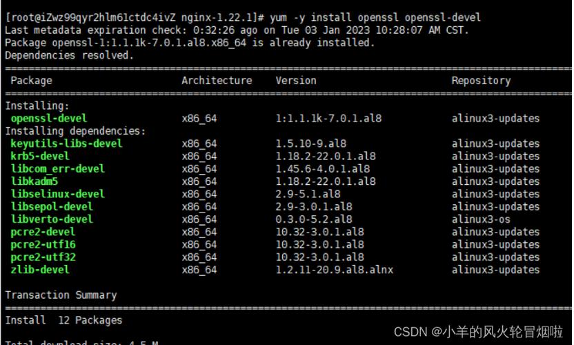 nginx 报错open，该如何解决？-图1