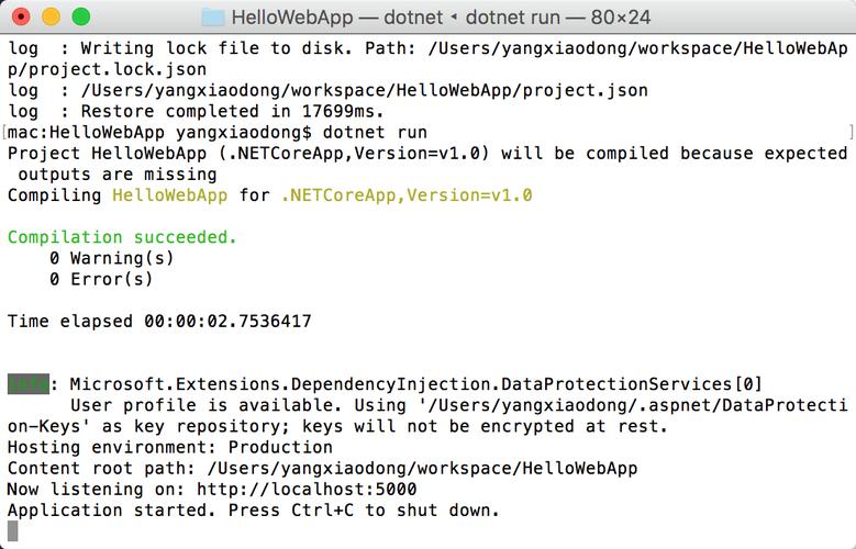 解决dotnet new命令报错全攻略-图2