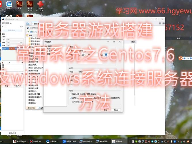 CentOS搭建DNS服务器实战指南-图2