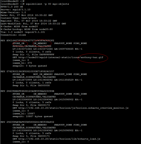 在 CentOS 系统中轻松部署 Squid 代理服务器-图3 在 CentOS 系统中轻松部署 Squid 代理服务器-图3