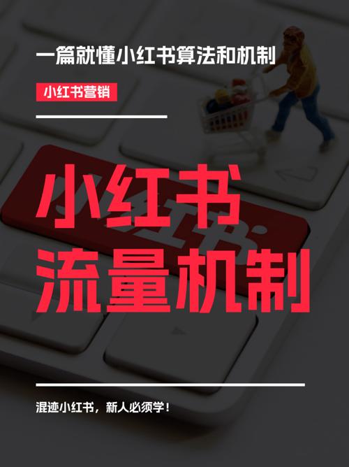 小红书众筹救助项目启动指南-图2
