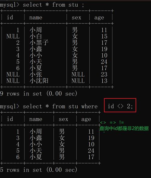 SQL错误1067，探究数据库异常中断的原因-图1