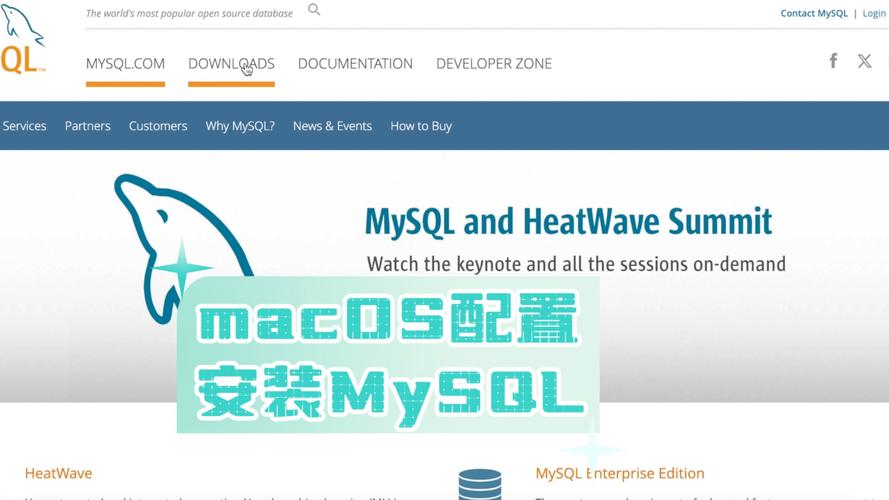 CentOS中MySQL配置文件位置在哪里？-图2