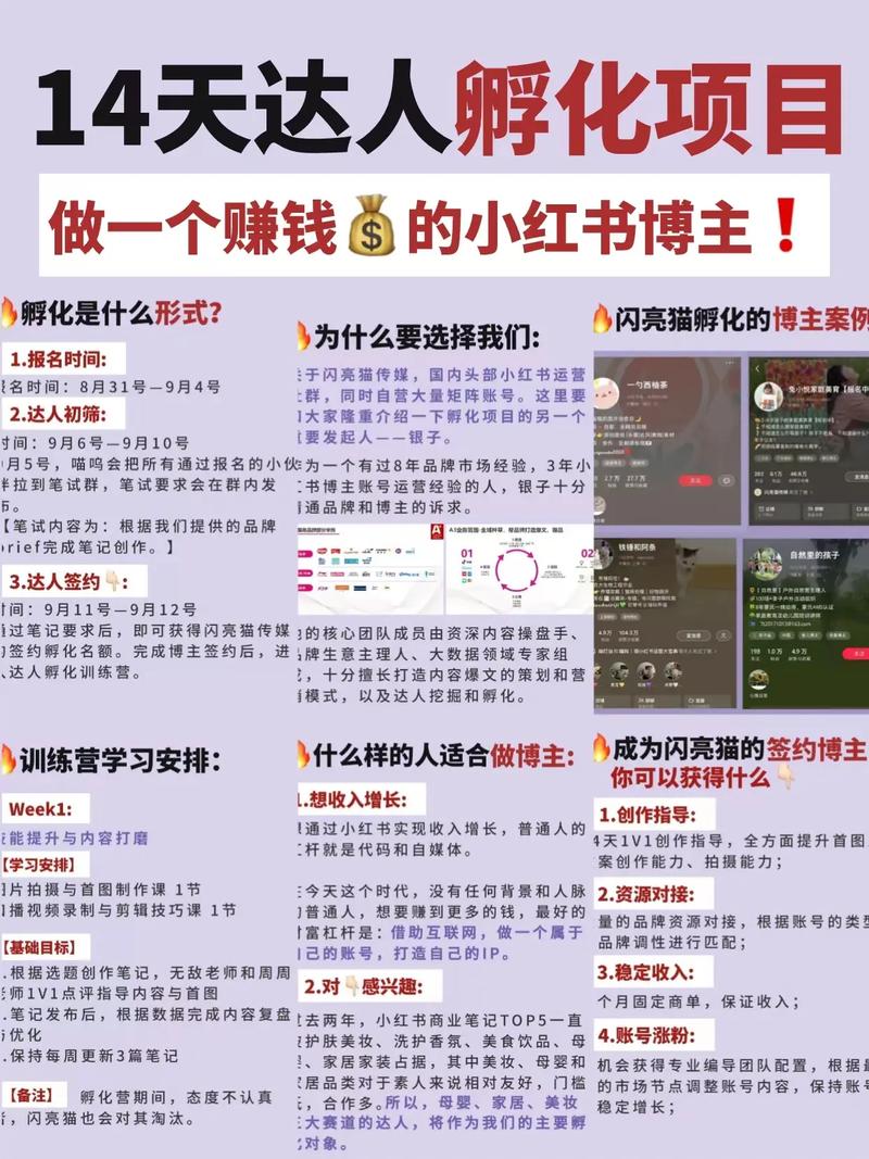 小红书流量变现攻略，轻松赚钱新途径-图3