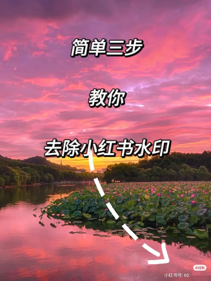 小红书收藏清除教程-图1