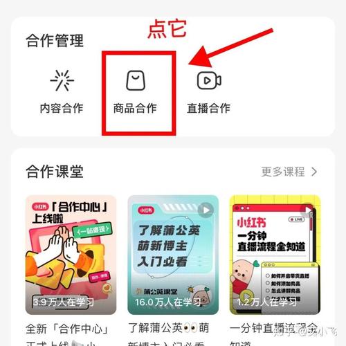 小红书书籍带货攻略,高效提升书籍销售技巧-图3 小红书书籍带货攻略,高效提升书籍销售技巧-图3