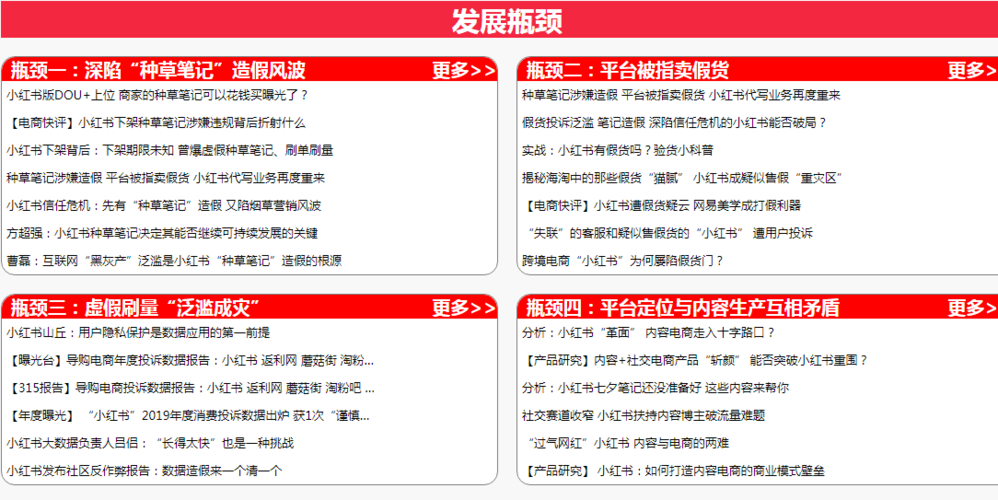 小红书的发展之路如何平衡机遇与挑战？-图3
