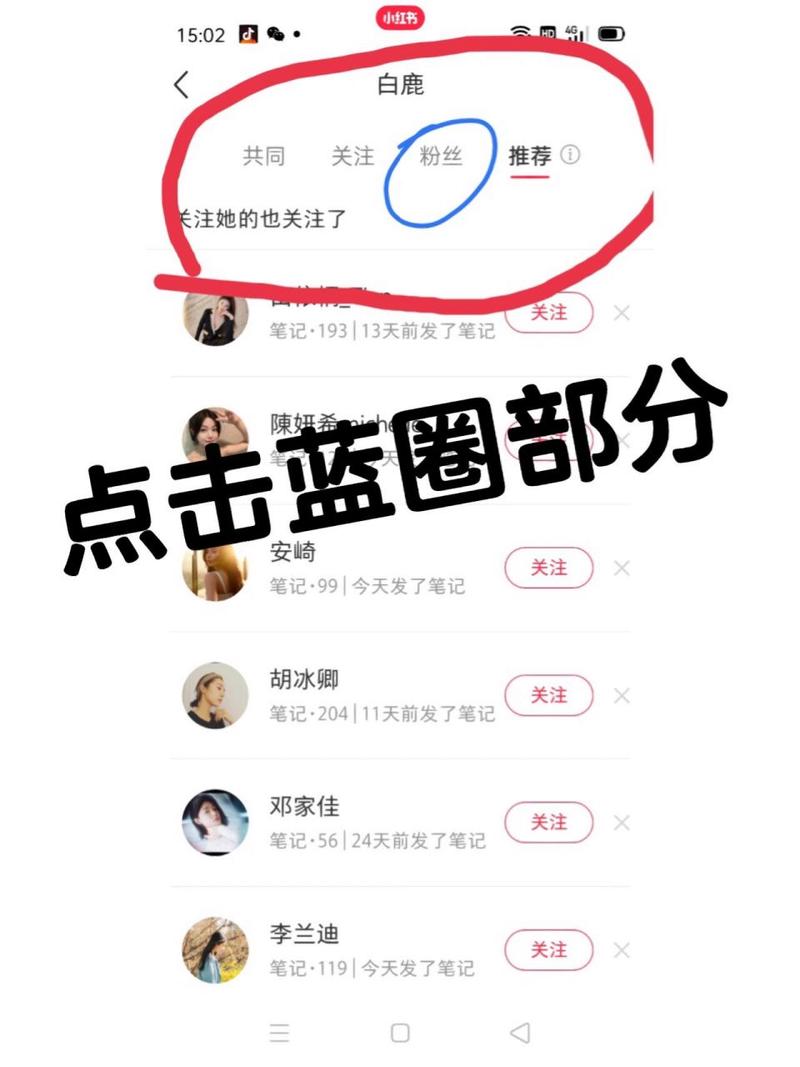 小红书粉丝数量查看指南-图1 小红书粉丝数量查看指南-图1