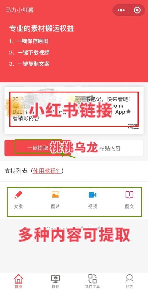 电脑小红书素材下载指南-图1