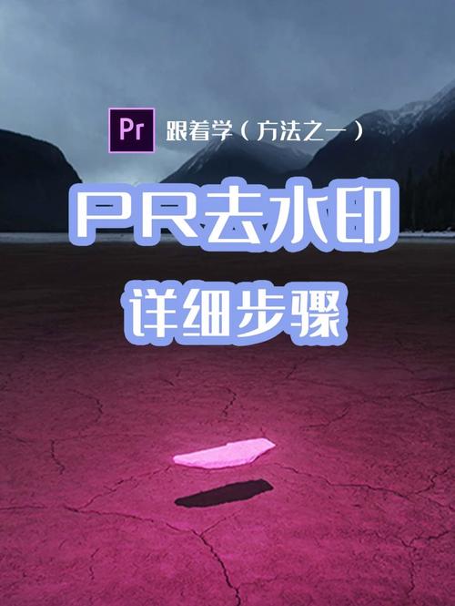 如何高效去除PR视频水印？最佳工具与技巧-图2