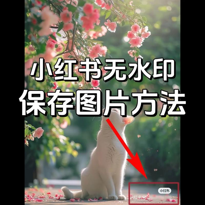 如何在小红书私发原图?实用技巧揭秘-图1 如何在小红书私发原图?实用技巧揭秘-图1