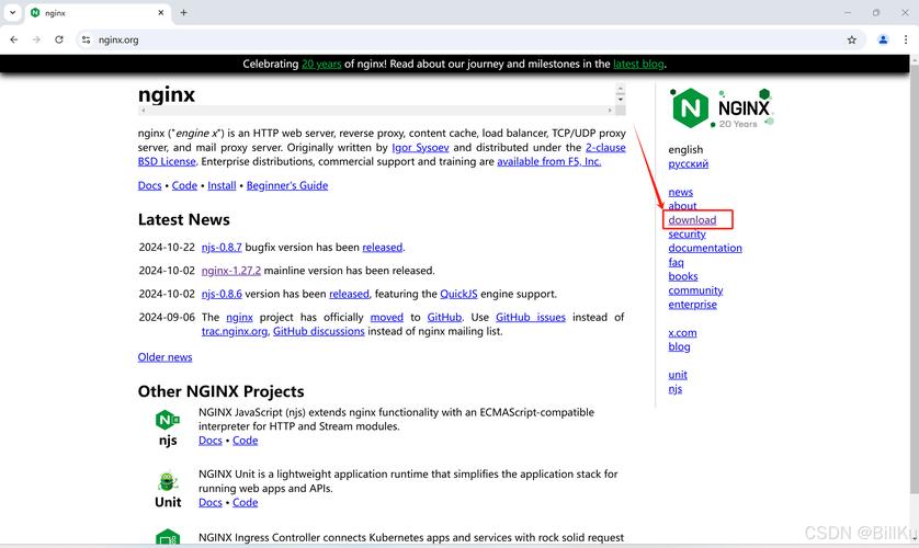 如何在CentOS服务器上配置Django与Nginx？-图3
