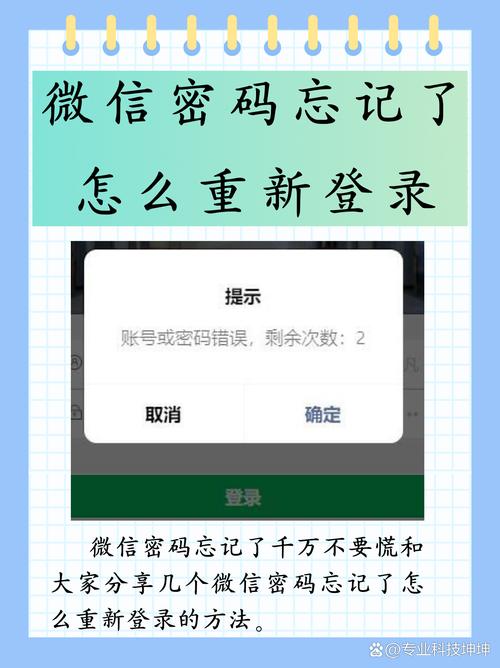 小红书如何用密码登录手机账号？-图1