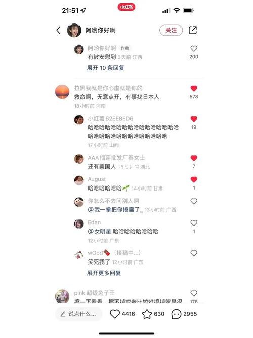 小红书评论查看指南，探索他人动态互动-图2