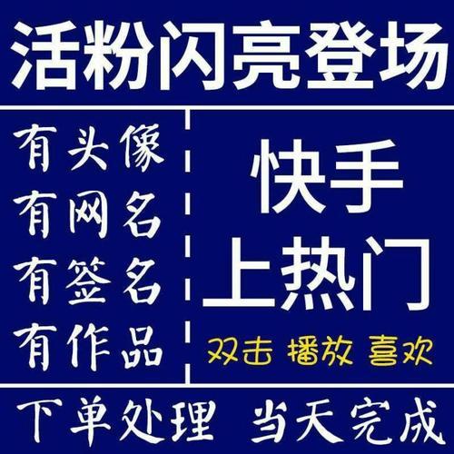 快手粉丝平台永不掉粉服务的性价比解析-图3