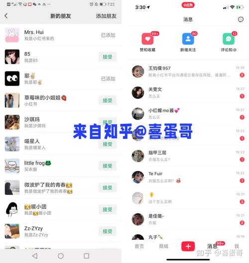 高效浏览小红书海量信息指南-图3 高效浏览小红书海量信息指南-图3