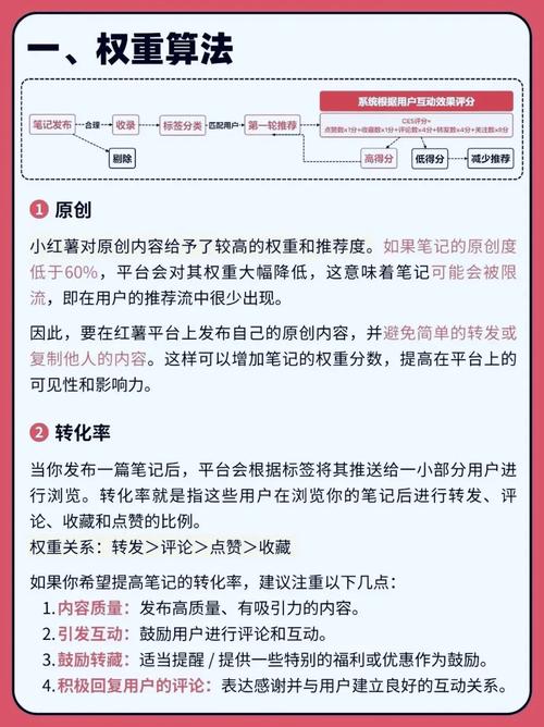 小红书账号垂直化运营攻略-图3