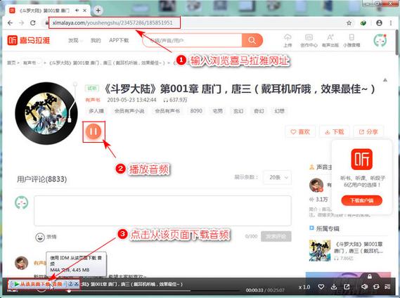 如何下载网页音频？-图3