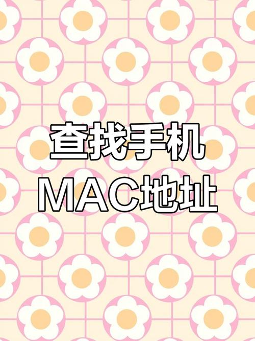 手机MAC地址查询攻略,Android与iOS查找全解析-图1 手机MAC地址查询攻略,Android与iOS查找全解析-图1