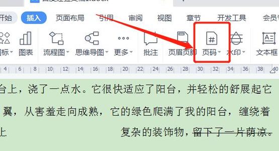 Word文档如何添加页码？简单步骤详解-图2