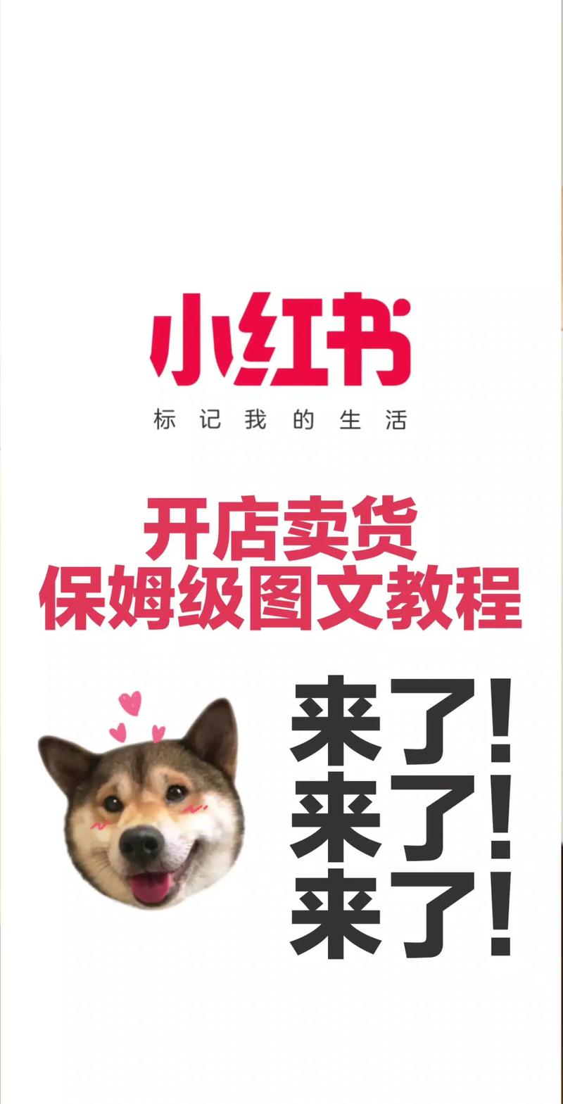 小红书图赚攻略,5步实操变现秘诀-图1 小红书图赚攻略,5步实操变现秘诀-图1