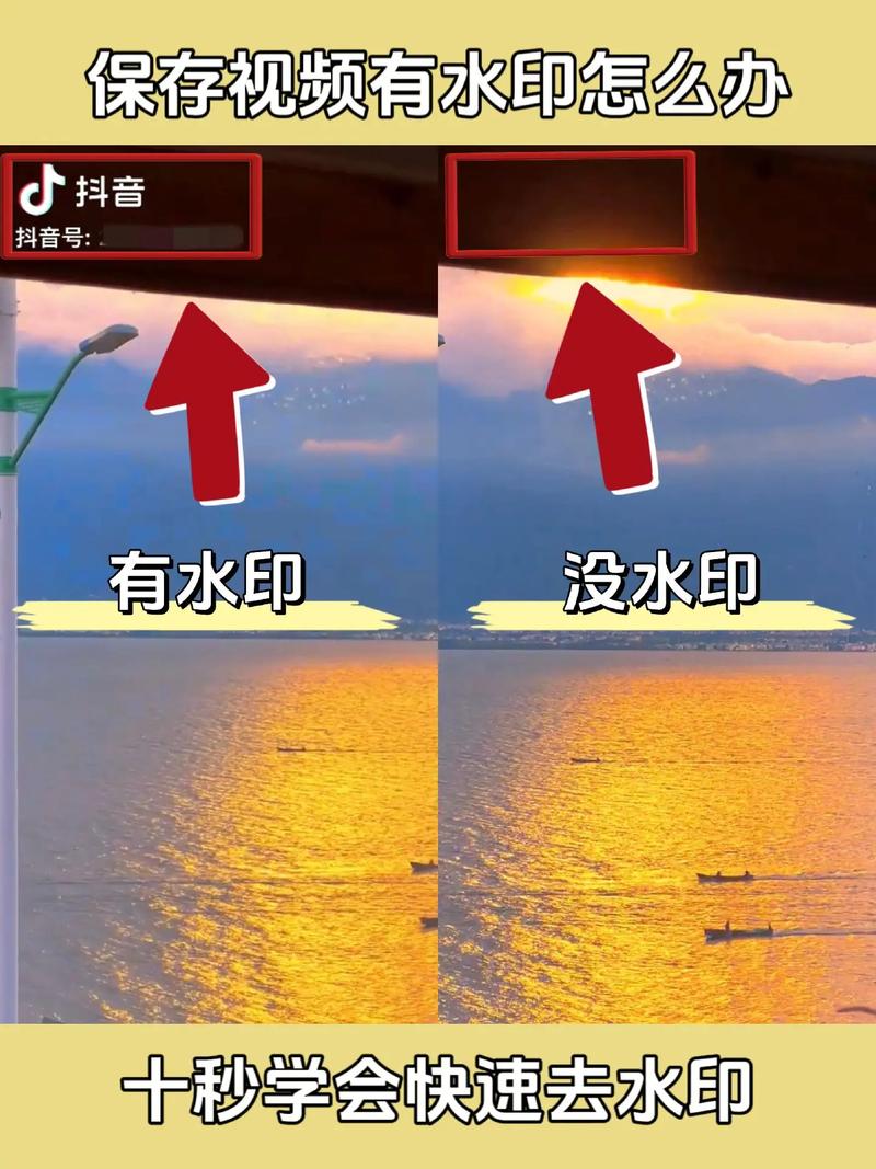 小红书视频去水印攻略,轻松教程一学就会-图1 小红书视频去水印攻略,轻松教程一学就会-图1