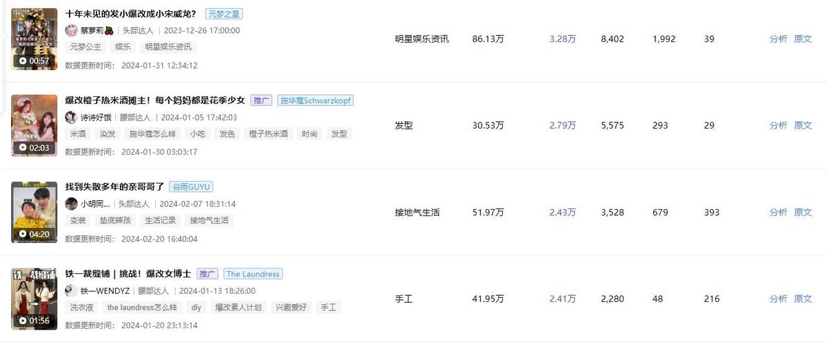 小红书数据合集高效制作与整理指南-图3