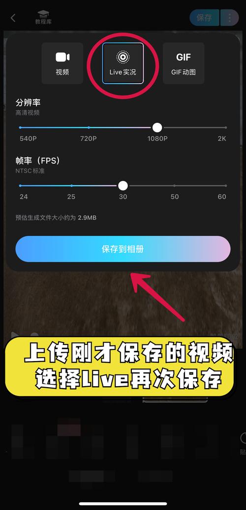 小红书Live图私信发送攻略，图文教程详解-图2