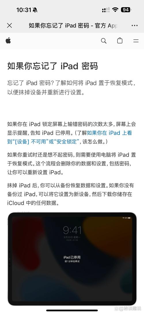 轻松解决苹果iPad报错-1问题攻略-图2